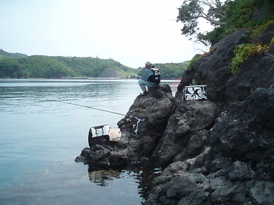 *唐橋鼻北のポイント・・・向こうは日の津港