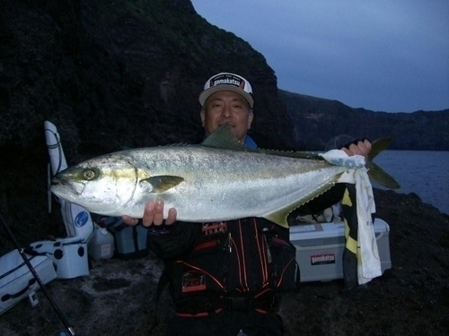 隠岐三度のマダイ釣りが・・・大ヒラマサに