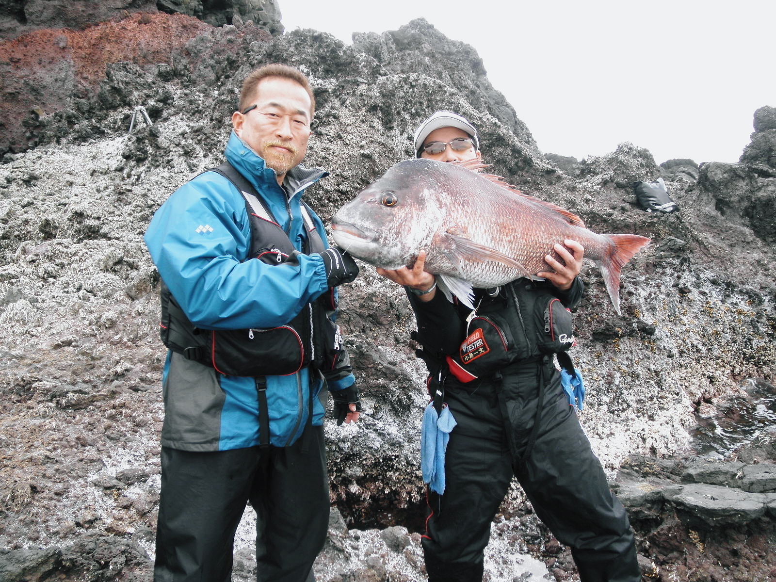 NHK　ロケで　大ダイ新記録・・・隠岐島前「冠島」