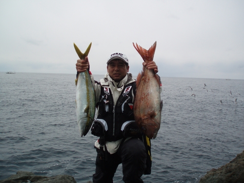 *ヒラマサ63センチ、マダイ64センチ