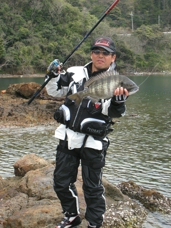 *まだまだ若々しい５０センチのチヌ