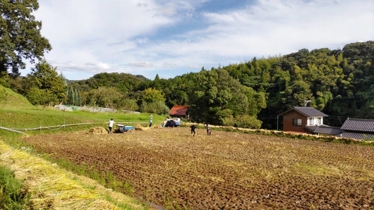 写真１