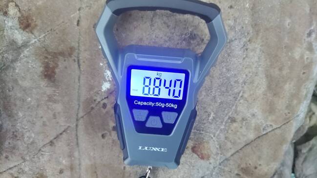 1701135388232