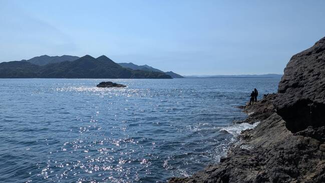 1784600645014