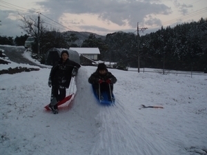 今日も雪