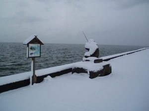 宍道湖の雪景色