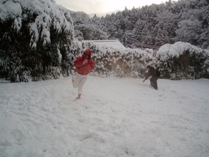 宍道湖の雪景色