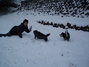 宍道湖の雪景色